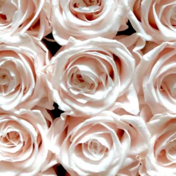 Meet your Posher, Maggie - Picture 1 of 1